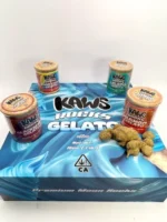 Gelato Edition